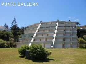 Lindísimo departamento en Punta Ballena con vista